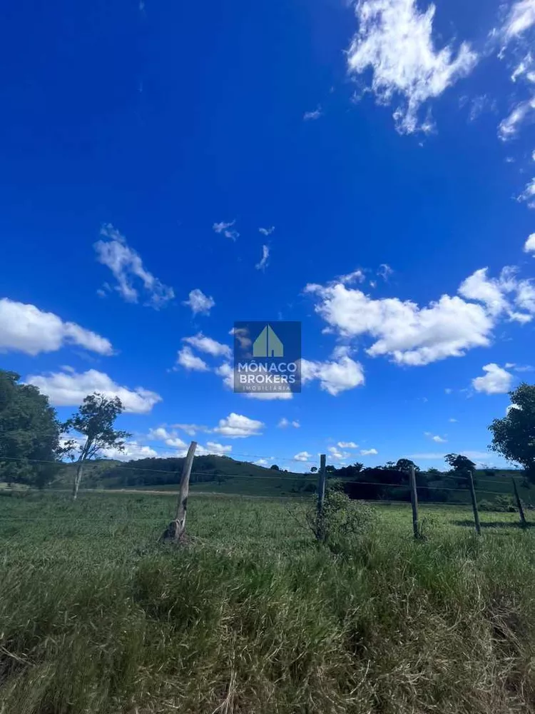 Fazenda, 252 hectares - Foto 21