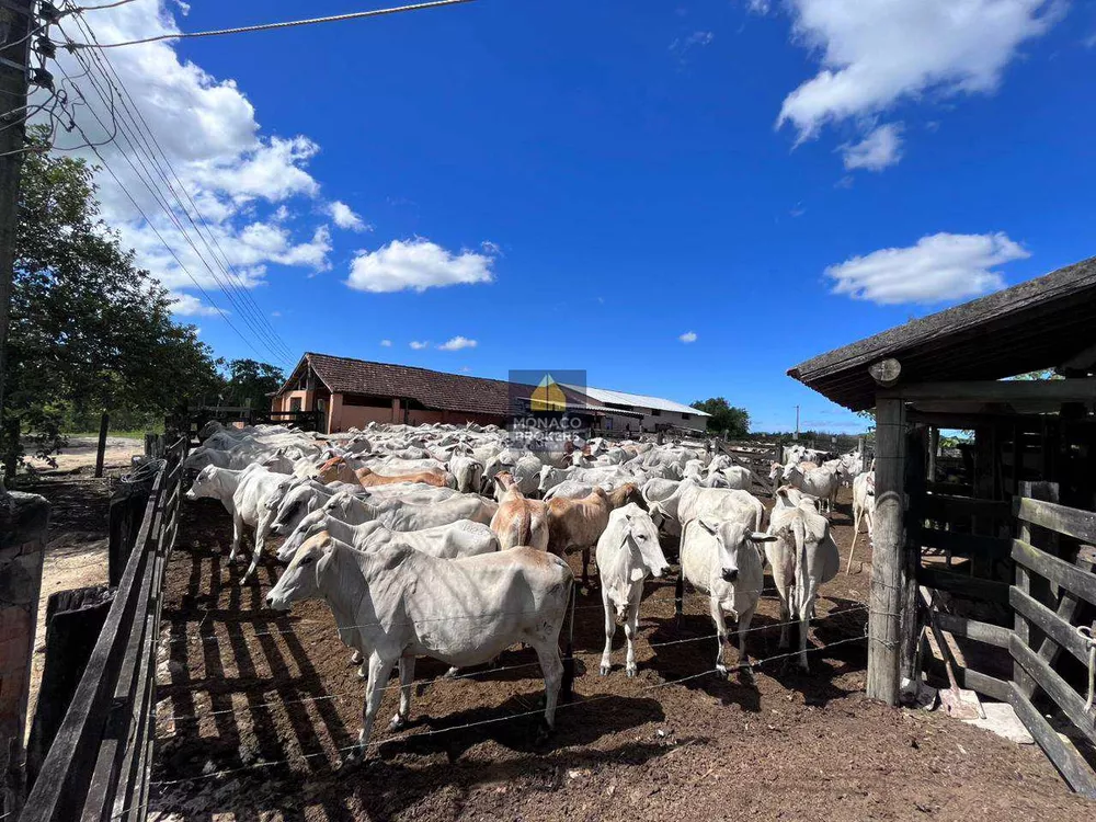 Fazenda, 252 hectares - Foto 39
