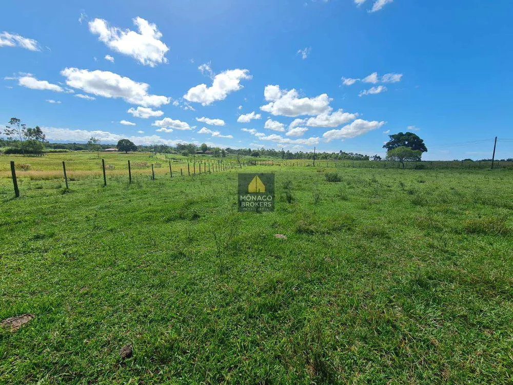 Fazenda, 252 hectares - Foto 46