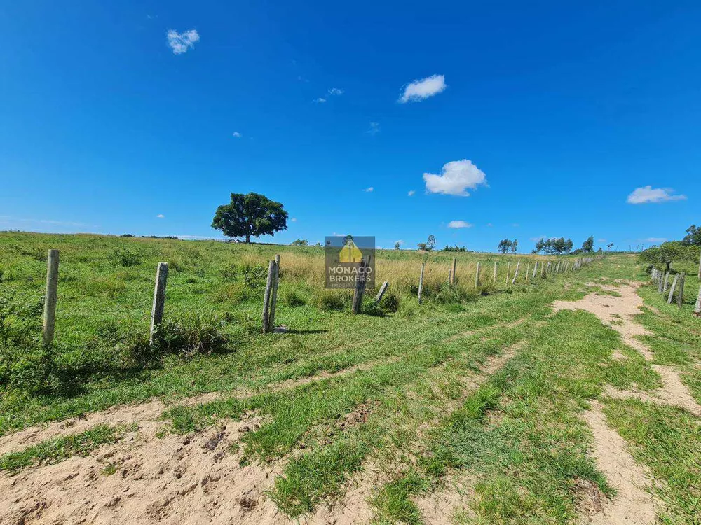 Fazenda, 252 hectares - Foto 48