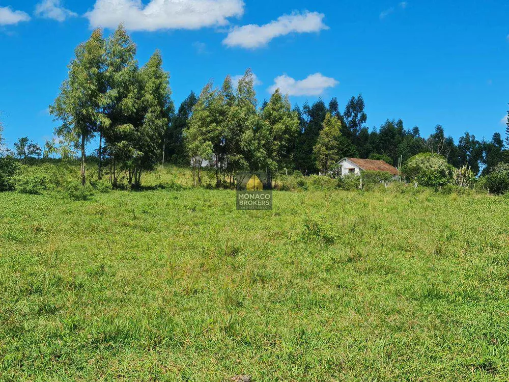 Fazenda, 252 hectares - Foto 1