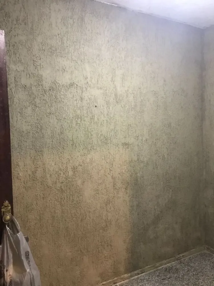 Casa, 12 quartos, 450 m² - Foto 67