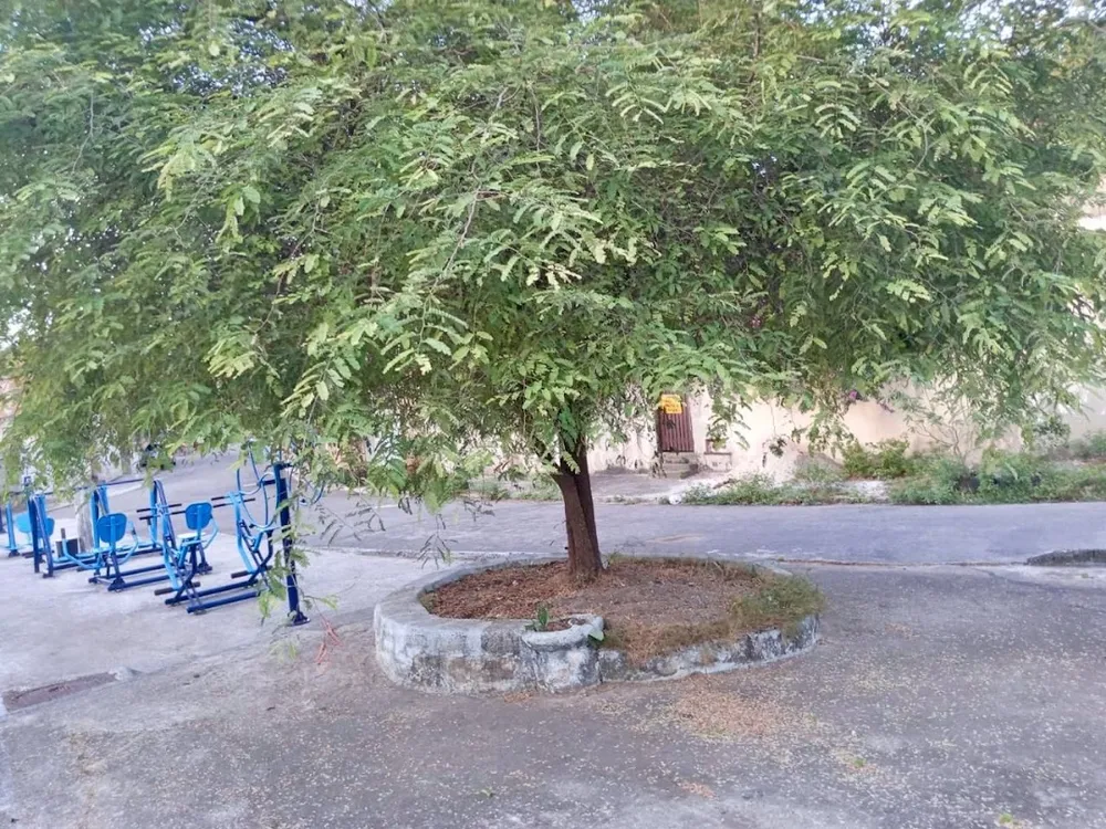 Apartamento, 1 quarto, 36 m² - Foto 6
