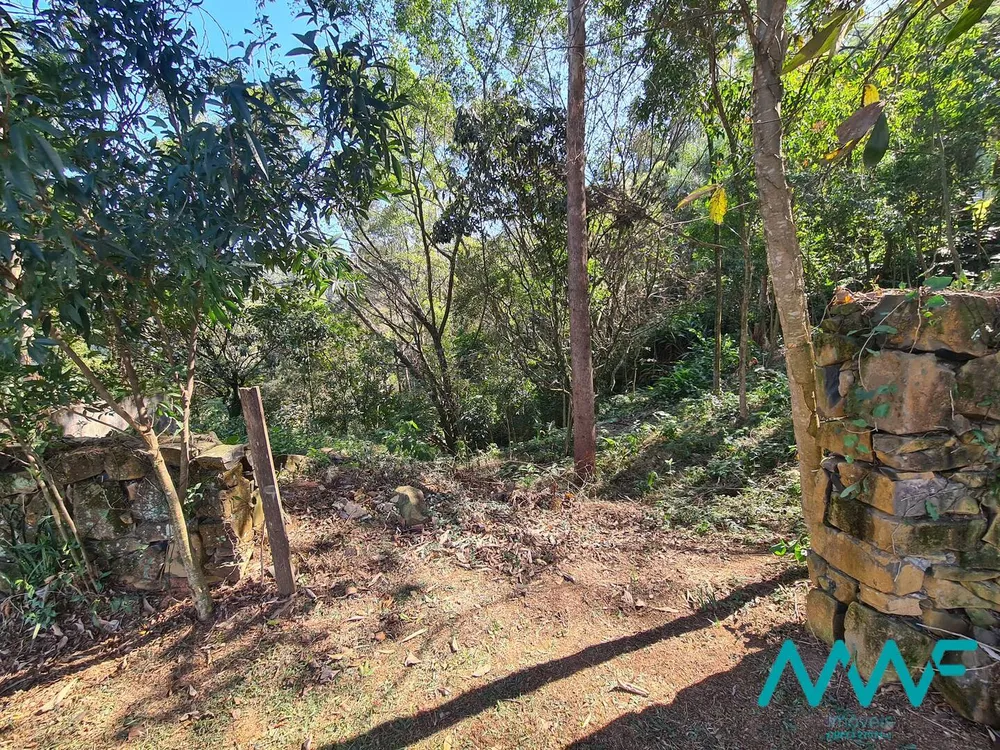 Terreno, 1466 m² - Foto 6
