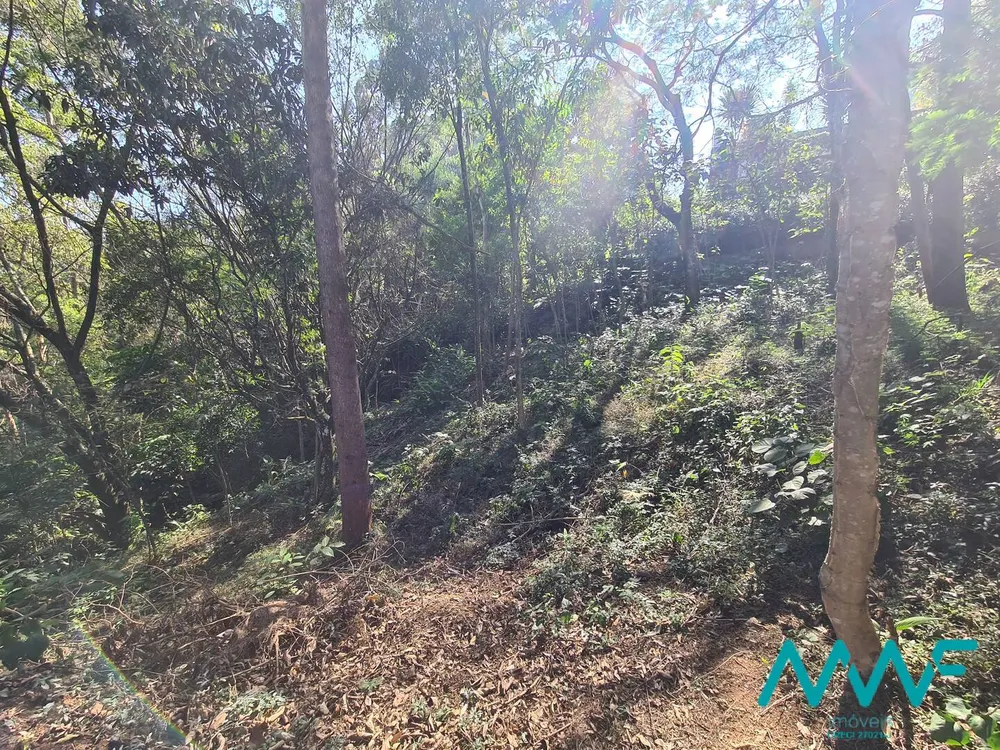 Terreno, 1466 m² - Foto 5