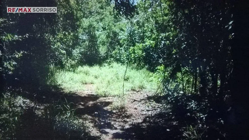 Fazenda, 24 hectares - Foto 2