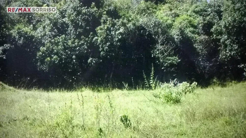 Fazenda, 24 hectares - Foto 3