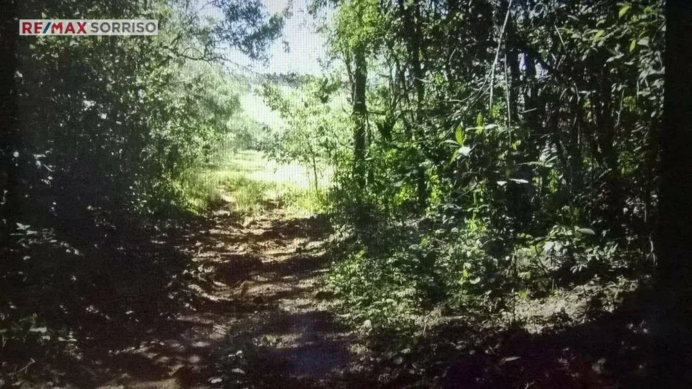 Fazenda, 24 hectares - Foto 4