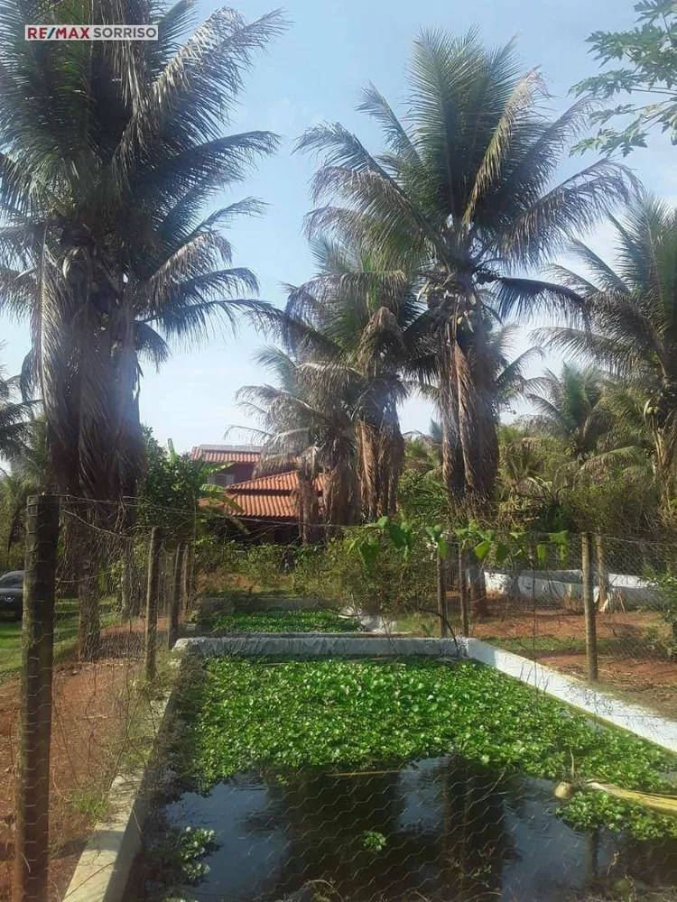 Chácara, 5 quartos, 5000 m² - Foto 2