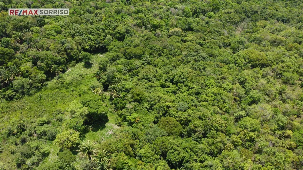 Terreno, 75 hectares - Foto 3