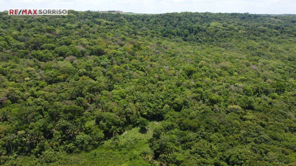Terreno, 75 hectares - Foto 4