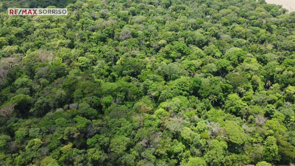 Terreno, 75 hectares - Foto 1