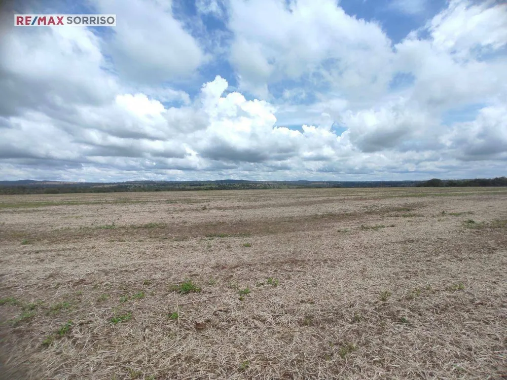 Chácara, 34 hectares - Foto 4