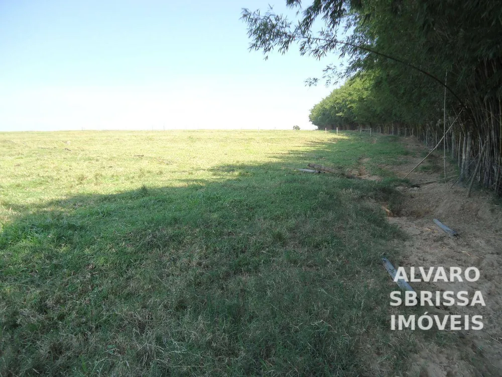 Terreno, 14 hectares - Foto 11