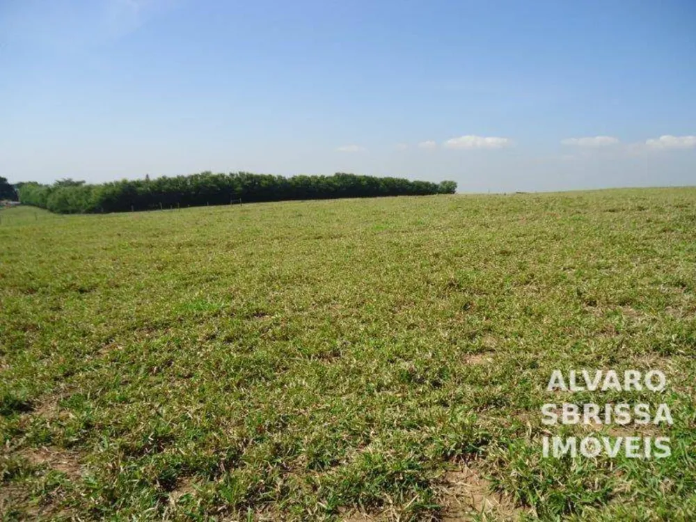 Terreno, 14 hectares - Foto 8