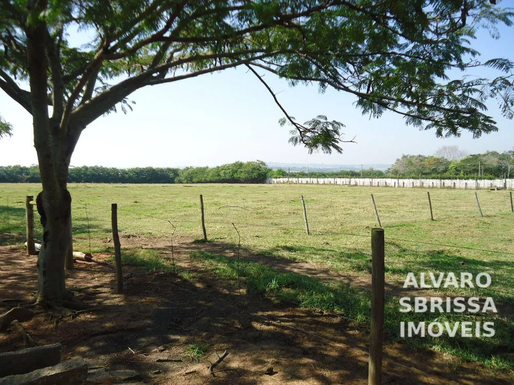 Terreno, 14 hectares - Foto 7