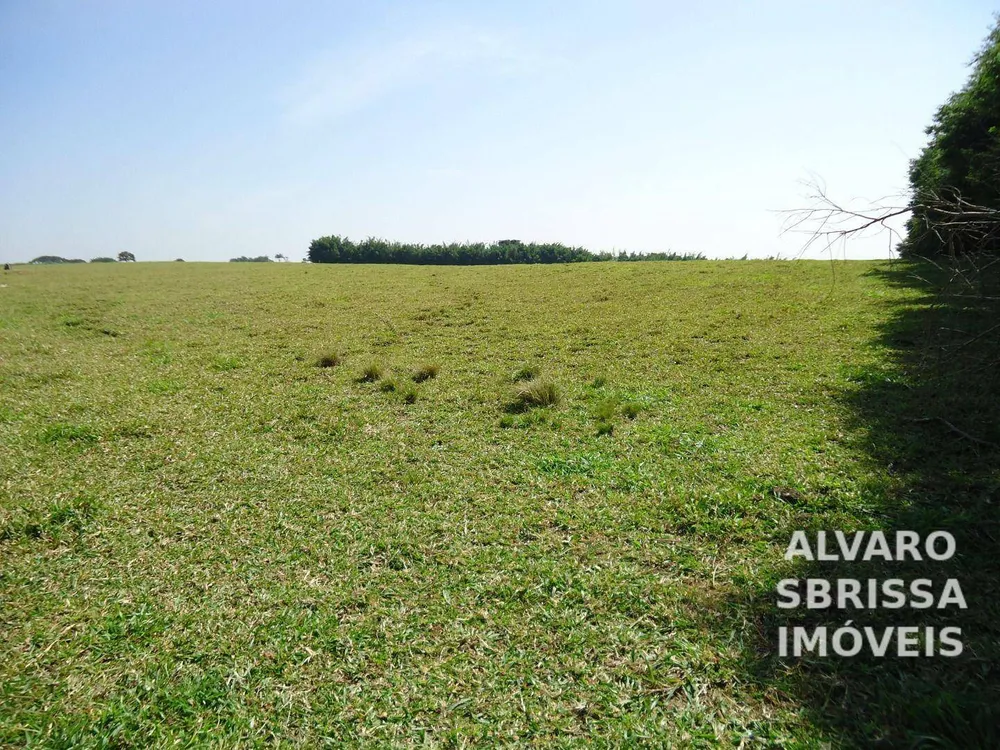 Terreno, 14 hectares - Foto 13