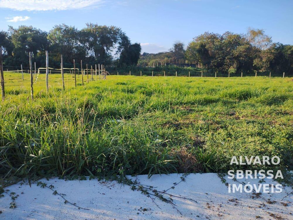 Terreno, 300 m² - Foto 2