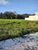 Terreno, 300 m² - Foto 3