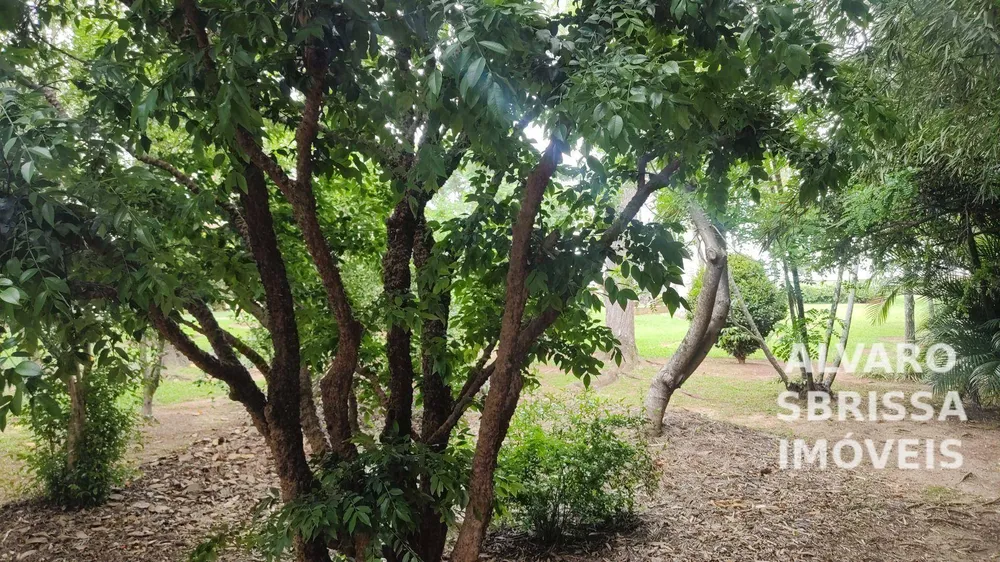 Chácara, 4 quartos, 400 m² - Foto 15