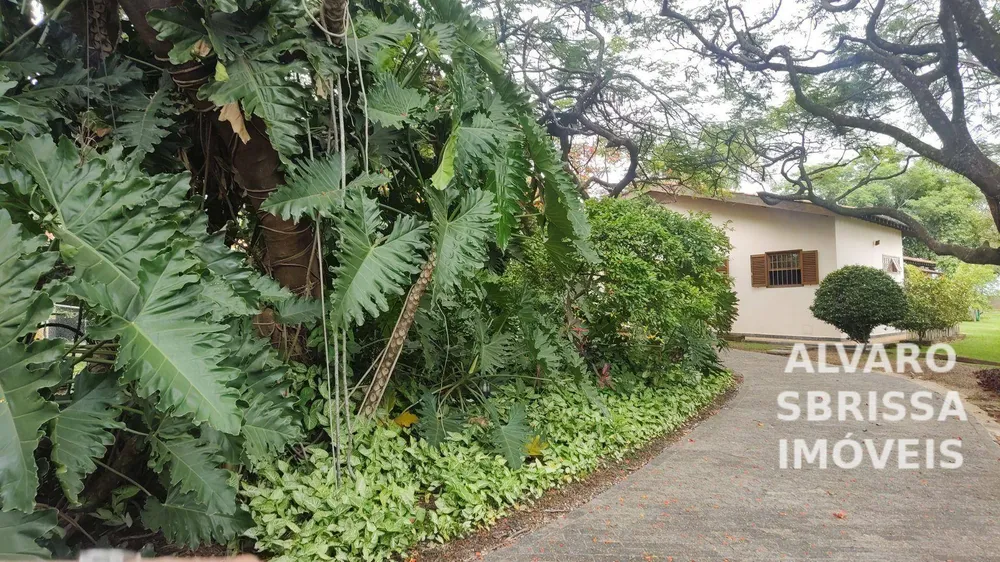 Chácara, 4 quartos, 400 m² - Foto 4