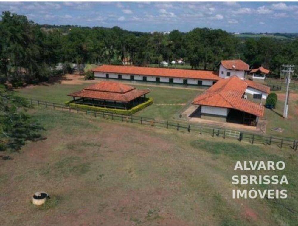 Fazenda, 80 hectares - Foto 7