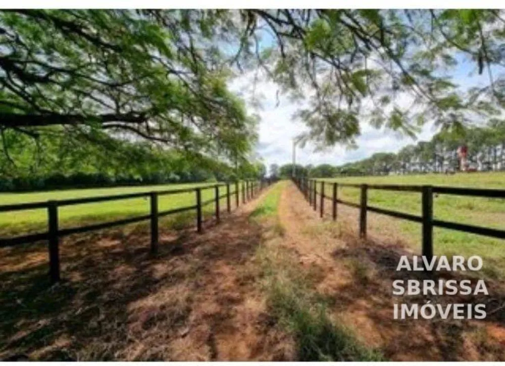 Fazenda, 80 hectares - Foto 3