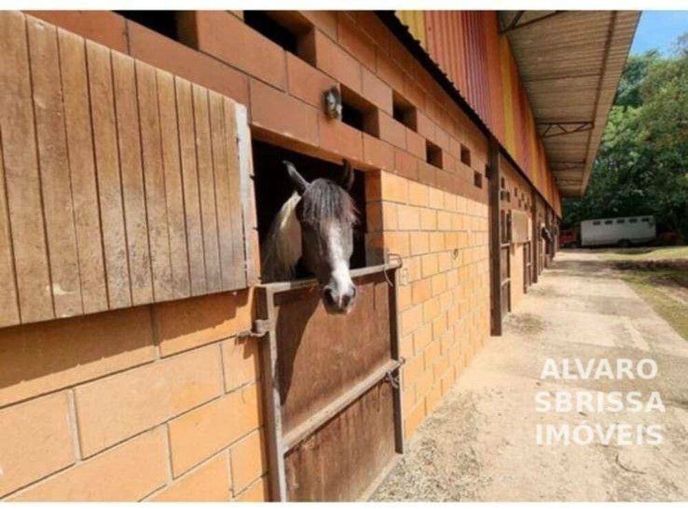 Fazenda, 80 hectares - Foto 11