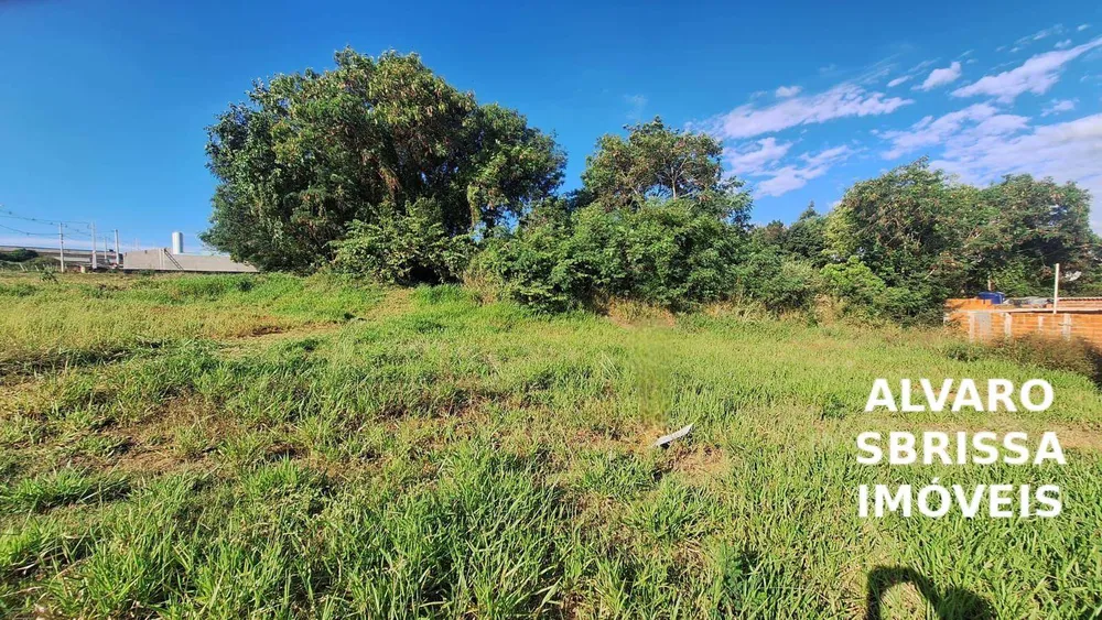 Terreno, 200 m² - Foto 4