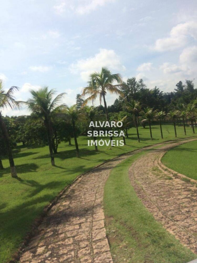 Sítio à venda com 4 quartos, 133100M2 - Foto 2