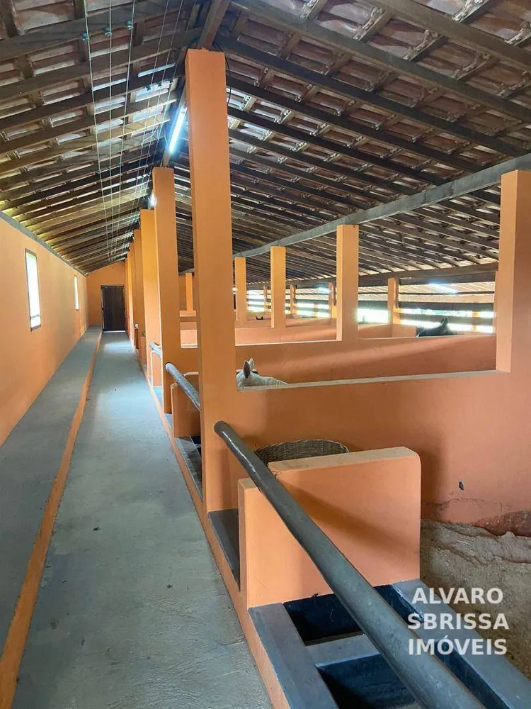 Sítio, 6 quartos, 11 hectares - Foto 8