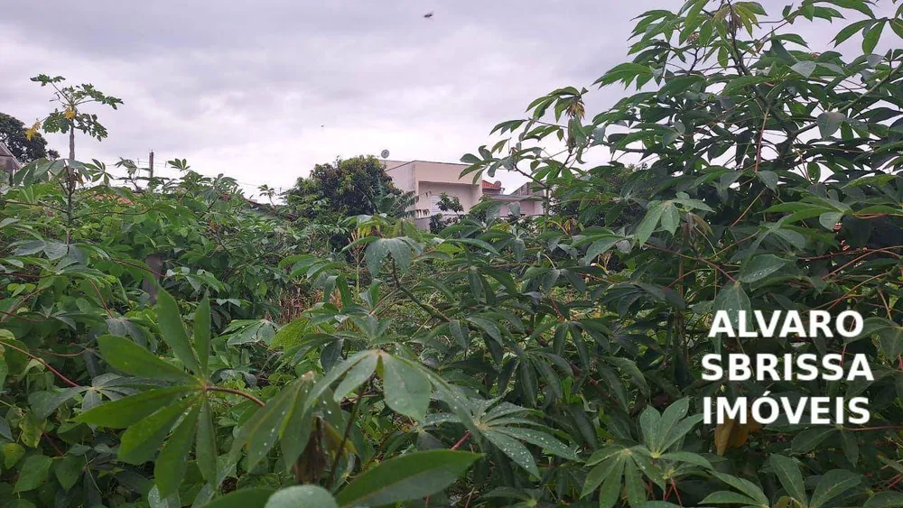 Terreno, 240 m² - Foto 3