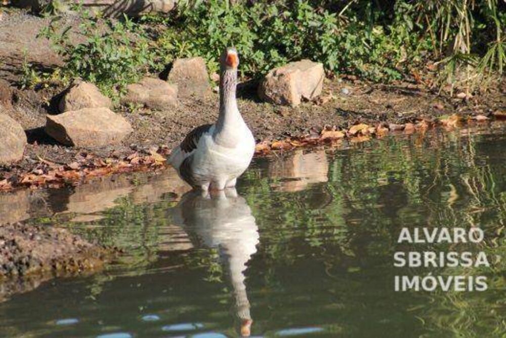 Loteamento e Condomínio, 574 m² - Foto 5