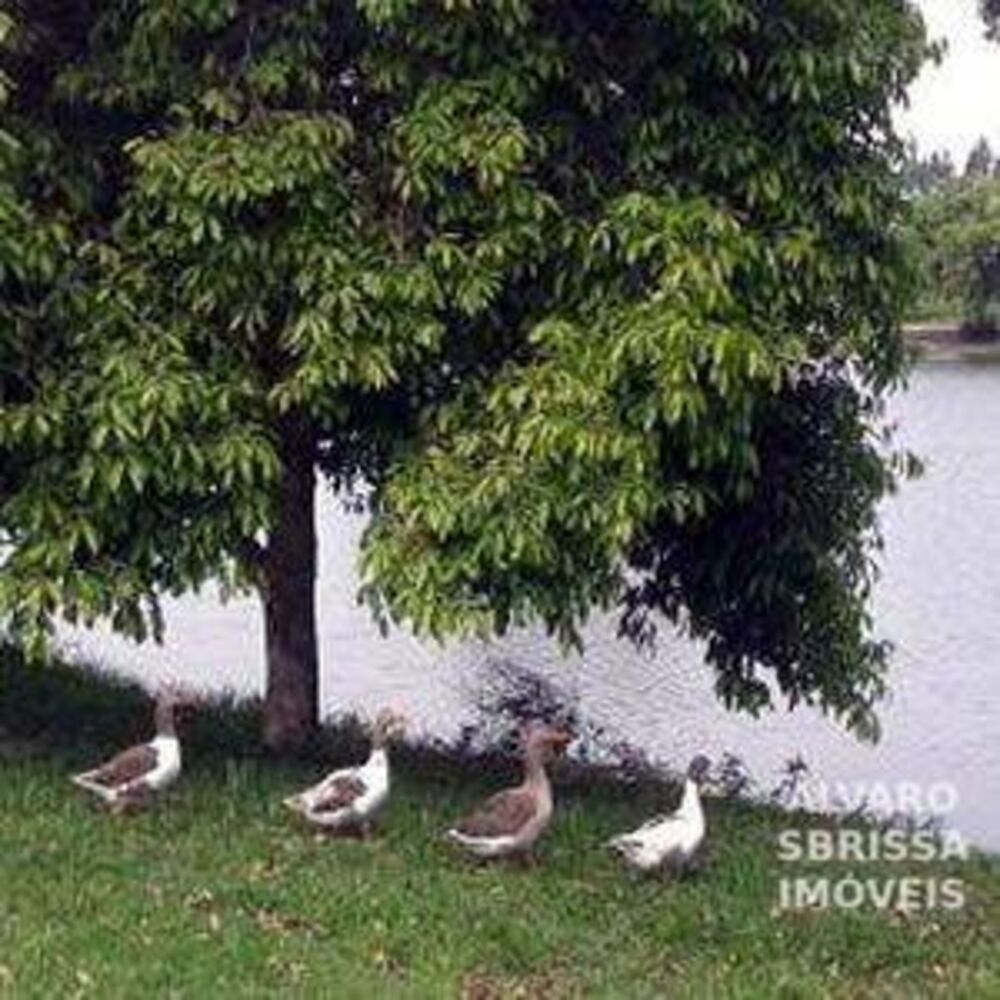 Loteamento e Condomínio, 574 m² - Foto 7