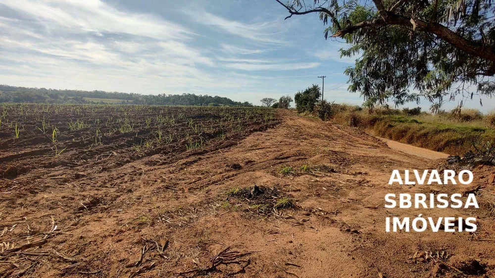 Terreno, 13 hectares - Foto 1