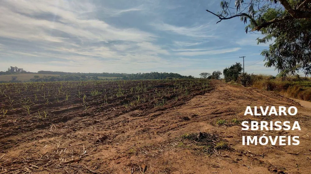 Terreno, 13 hectares - Foto 2