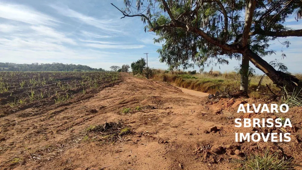 Terreno, 13 hectares - Foto 3