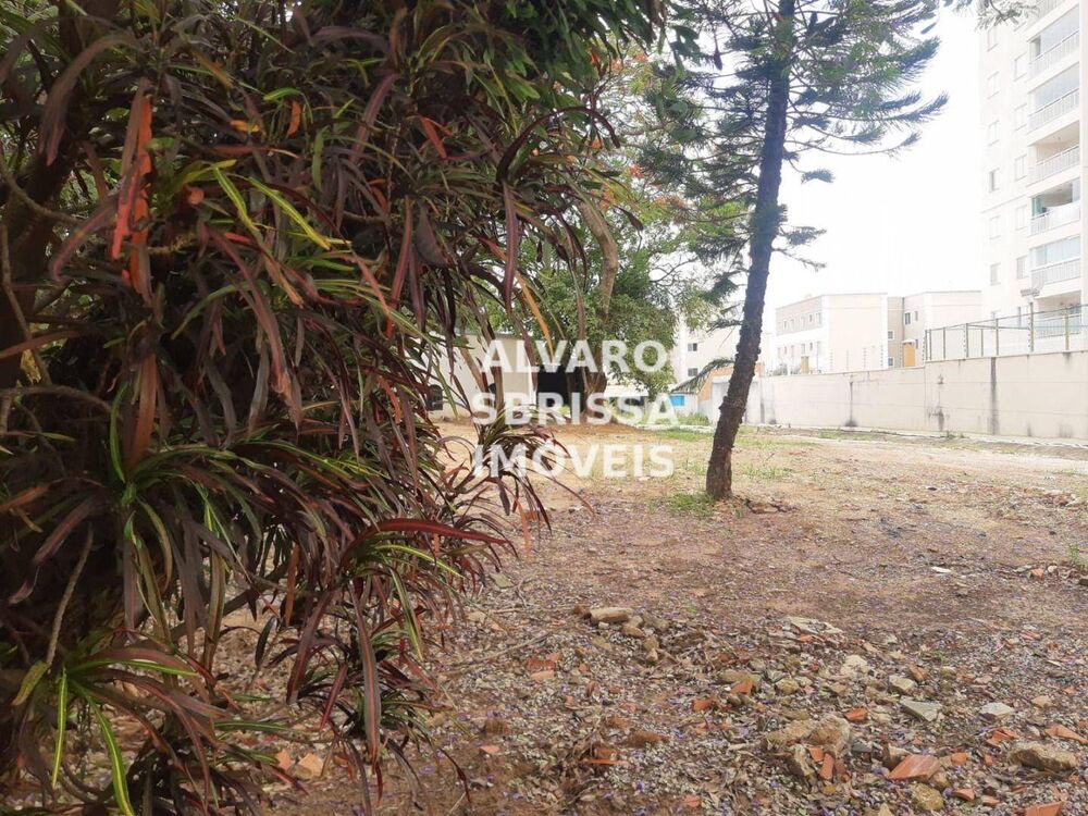 Terreno, 1800 m² - Foto 3