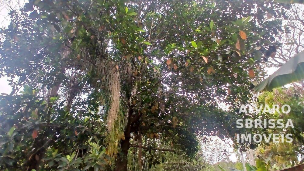 Loteamento e Condomínio, 2000 m² - Foto 5