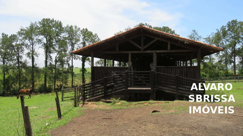 Sítio, 7 quartos, 5 hectares - Foto 14