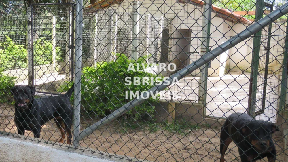 Sítio, 7 quartos, 5 hectares - Foto 13