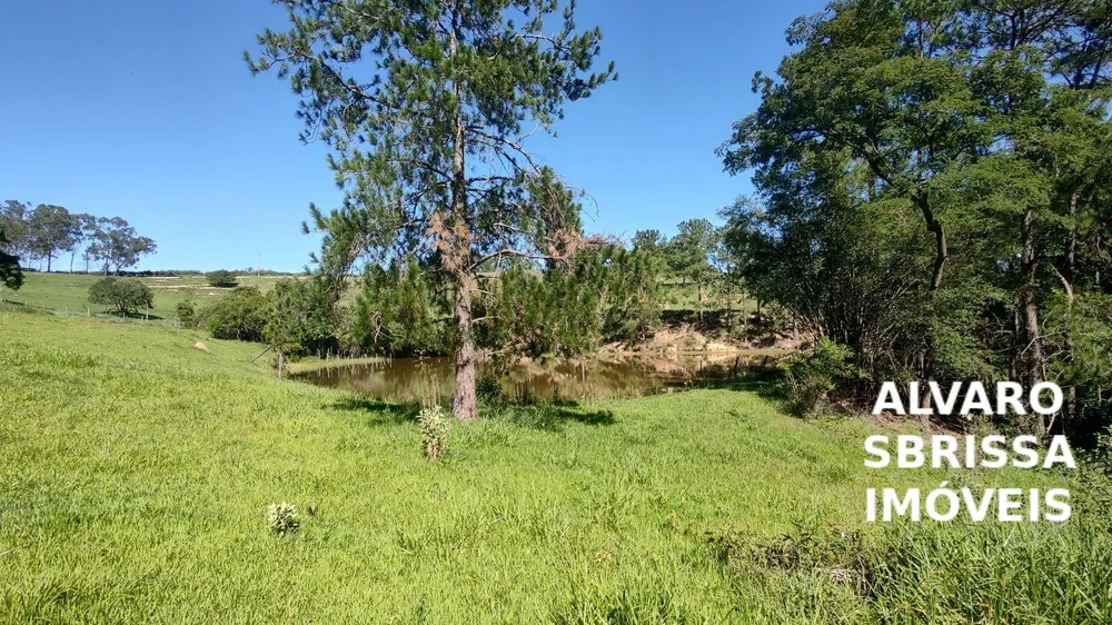 Sítio, 7 quartos, 5 hectares - Foto 11