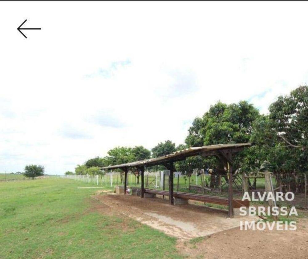 Fazenda, 6 hectares - Foto 8