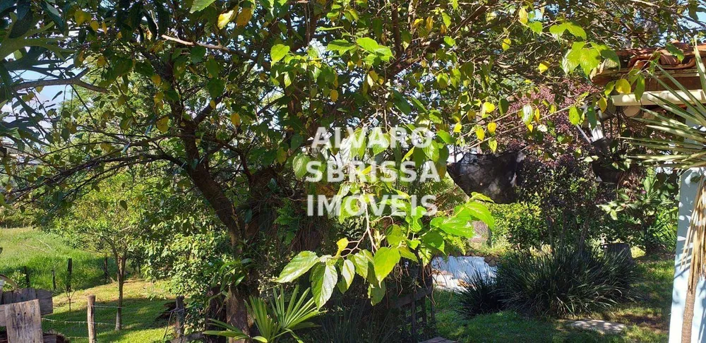 Chácara, 3 quartos, 1 hectares - Foto 10