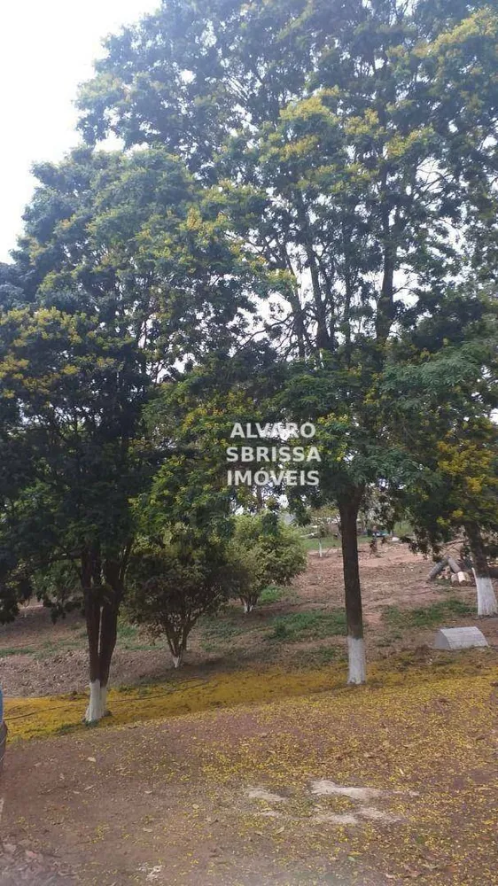Chácara, 3 quartos, 1 hectares - Foto 12