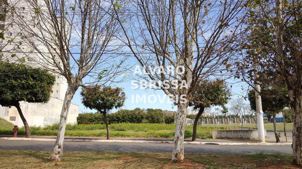 Terreno, 2560 m² - Foto 7