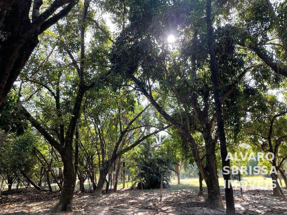 Sítio, 4 quartos, 2 hectares - Foto 7