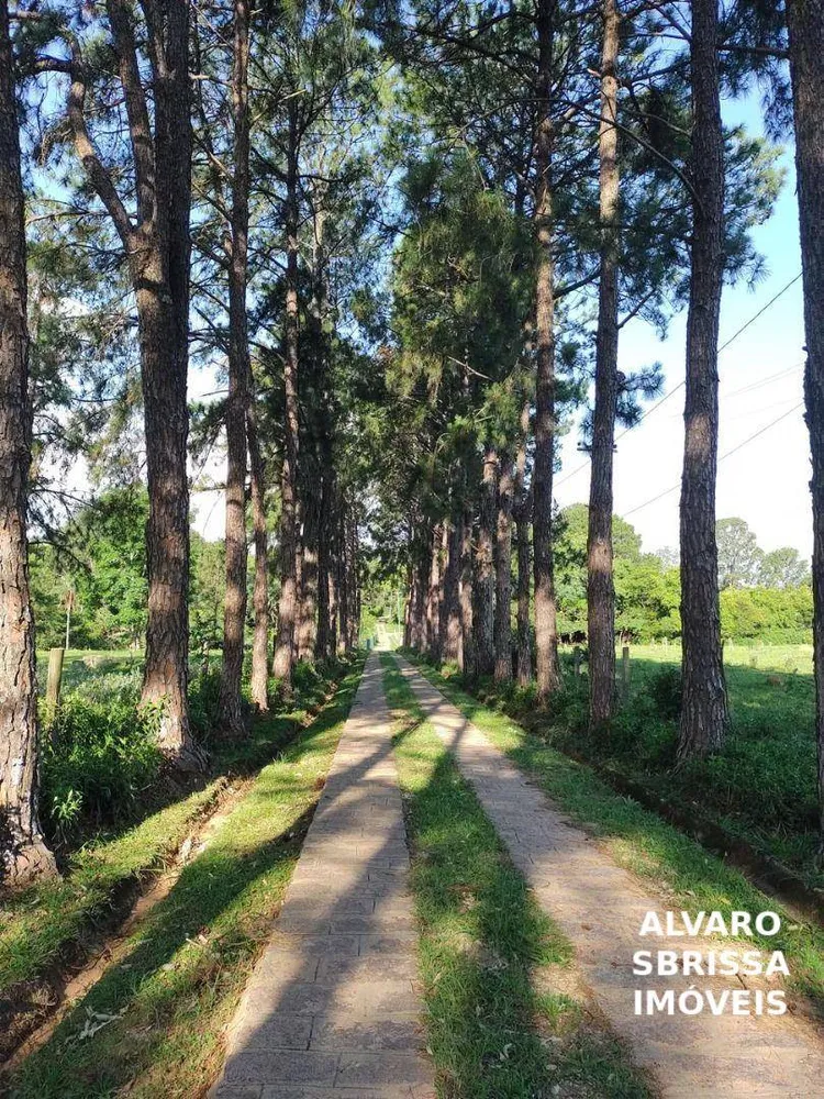 Chácara, 5 quartos, 3 hectares - Foto 12