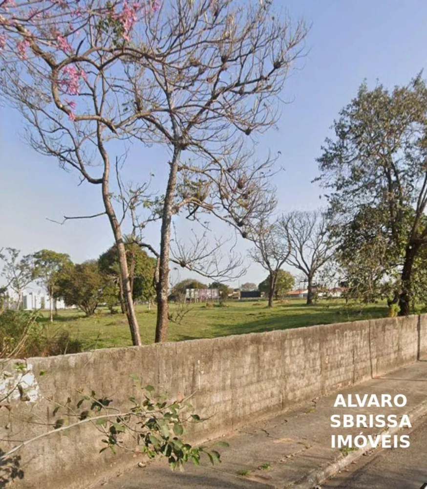 Terreno, 3 hectares - Foto 3