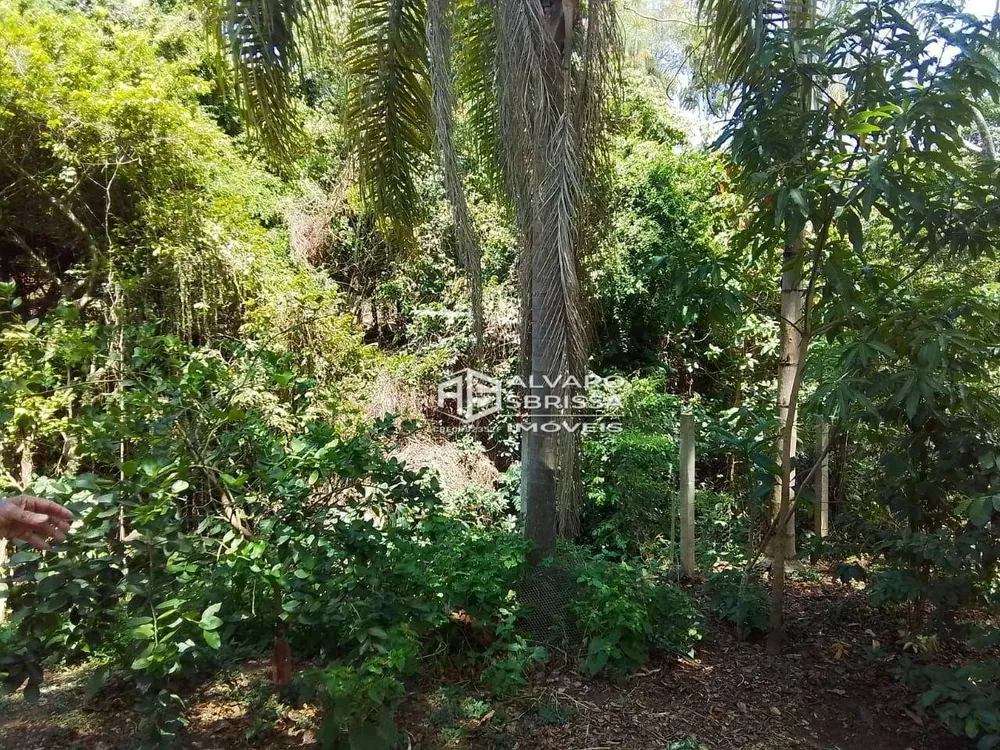 Chácara, 2 quartos, 2000 m² - Foto 3